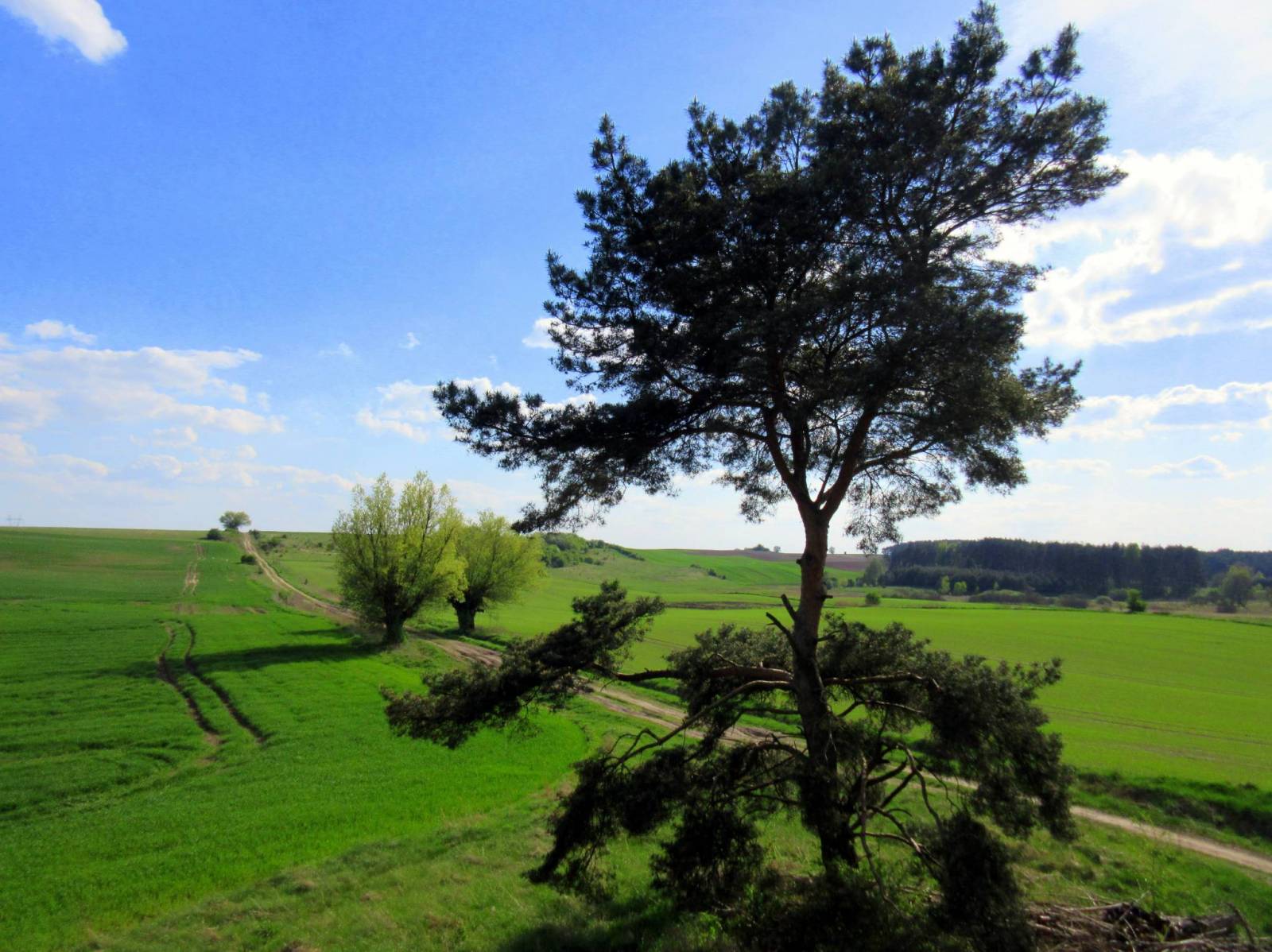 Zdjęcie 6