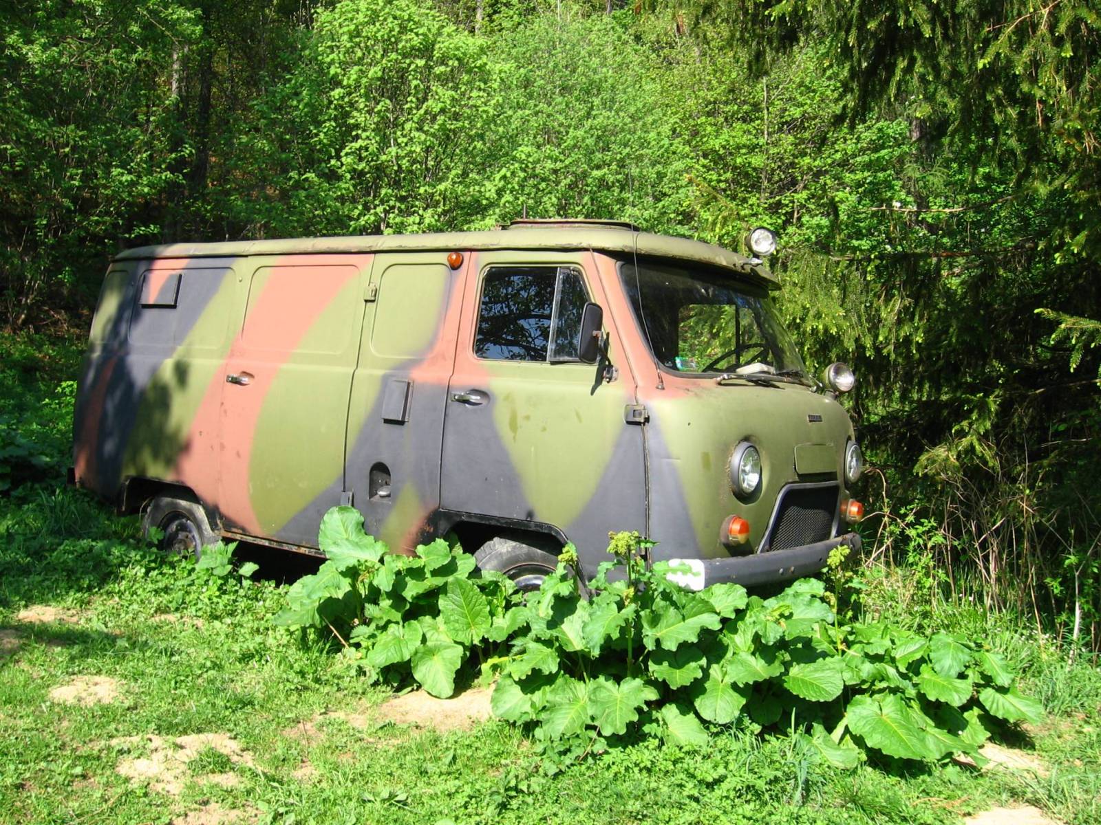 Zdjęcie 6