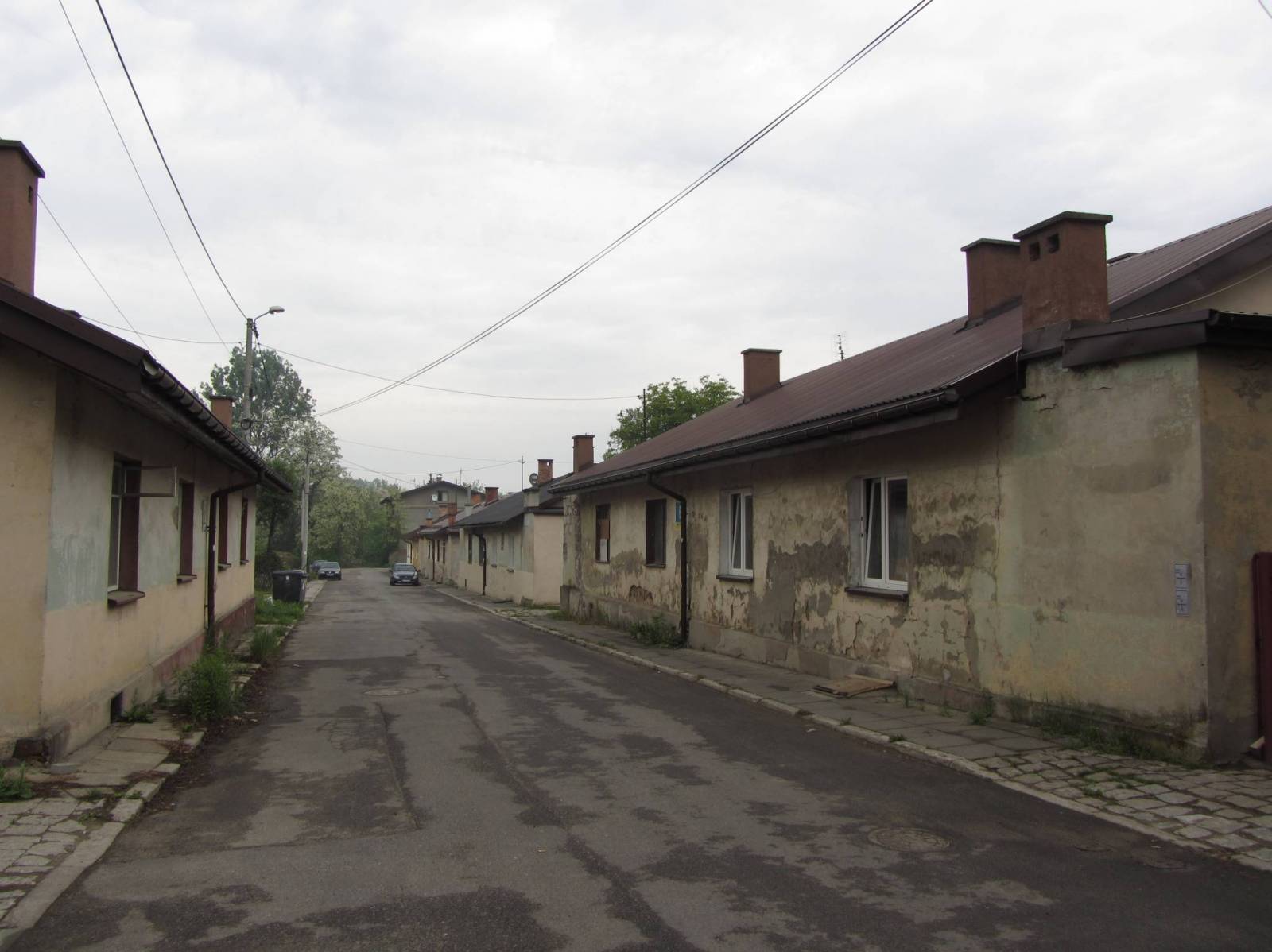 Zdjęcie 5