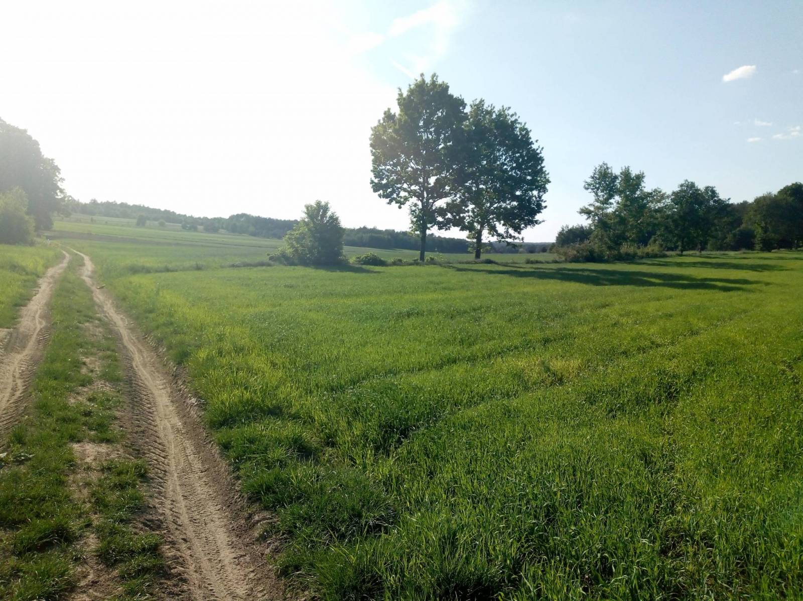 Zdjęcie 5