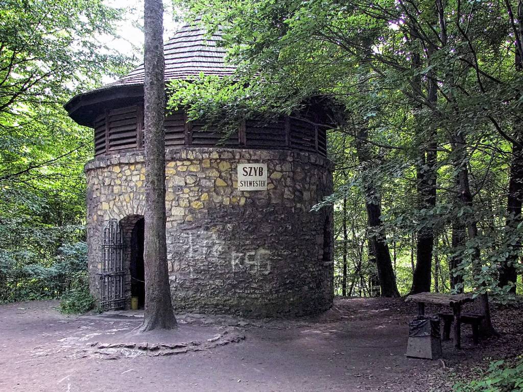 Zdjęcie 5