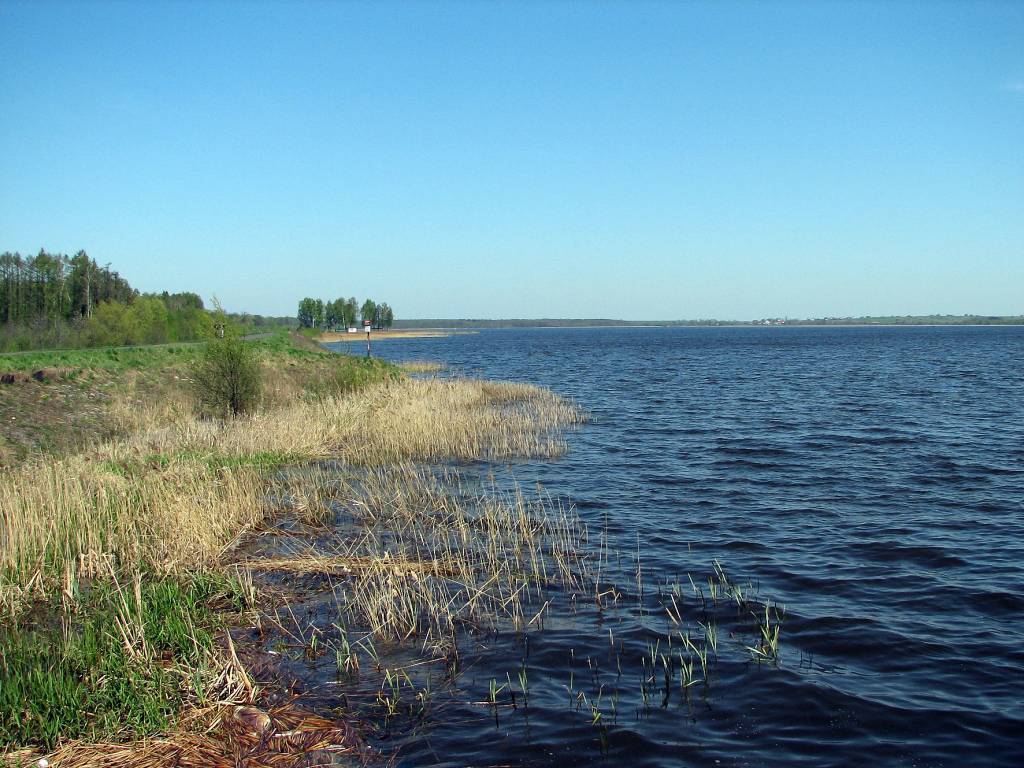 Zdjęcie 6