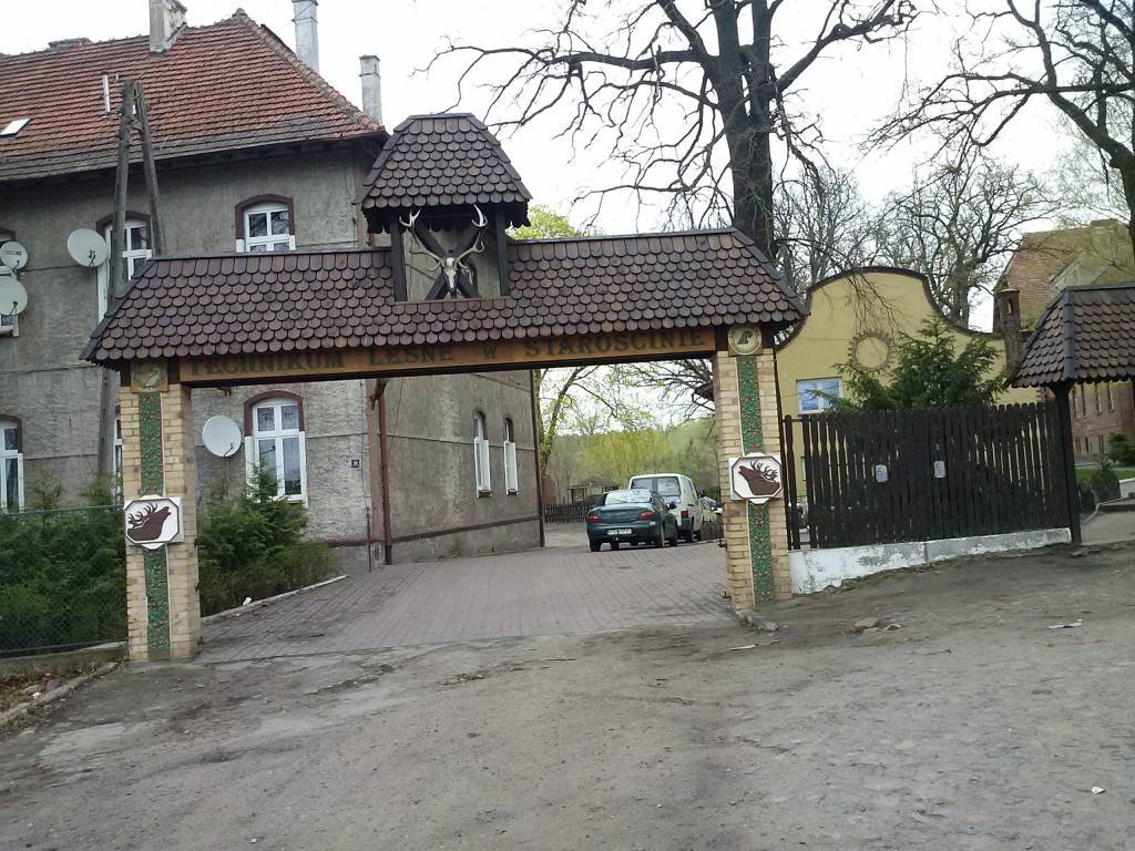 Zdjęcie 2
