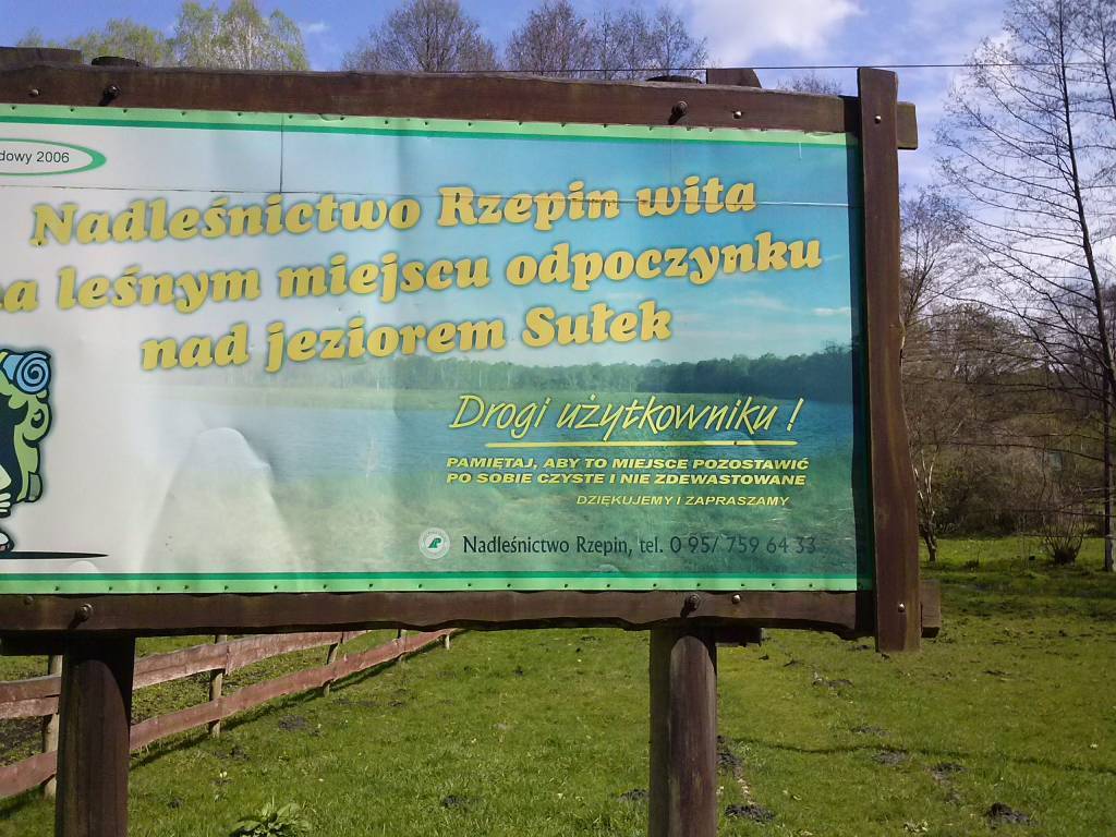 Zdjęcie 5