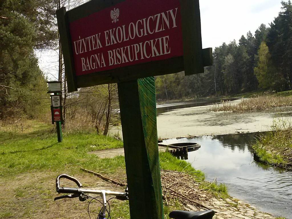 Zdjęcie 6