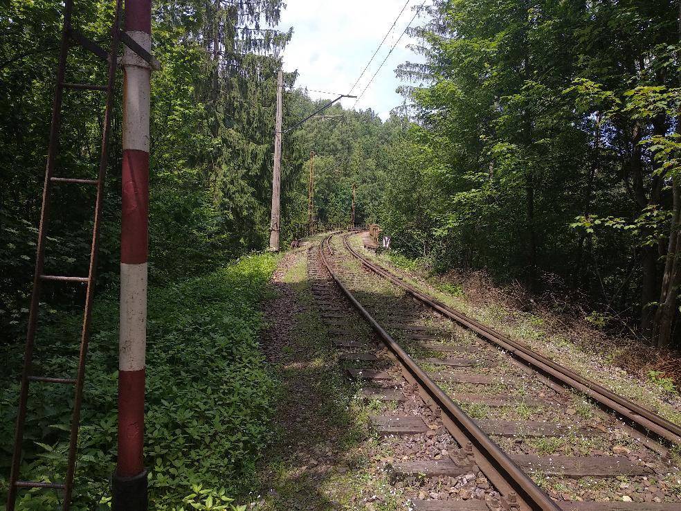 Zdjęcie 6