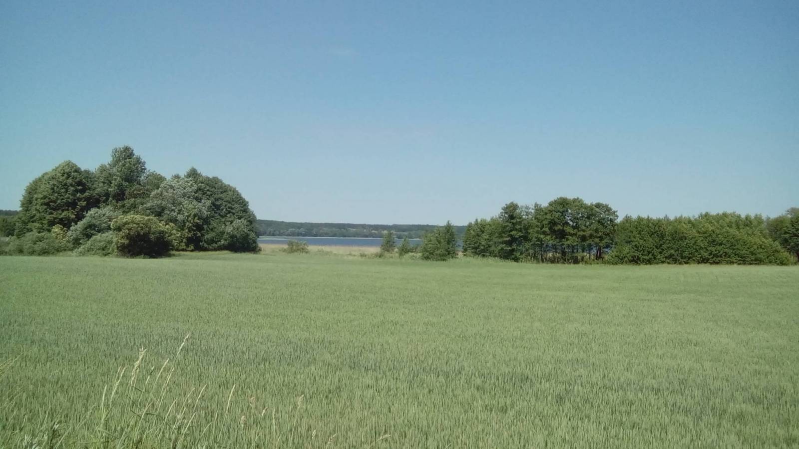 Zdjęcie 6