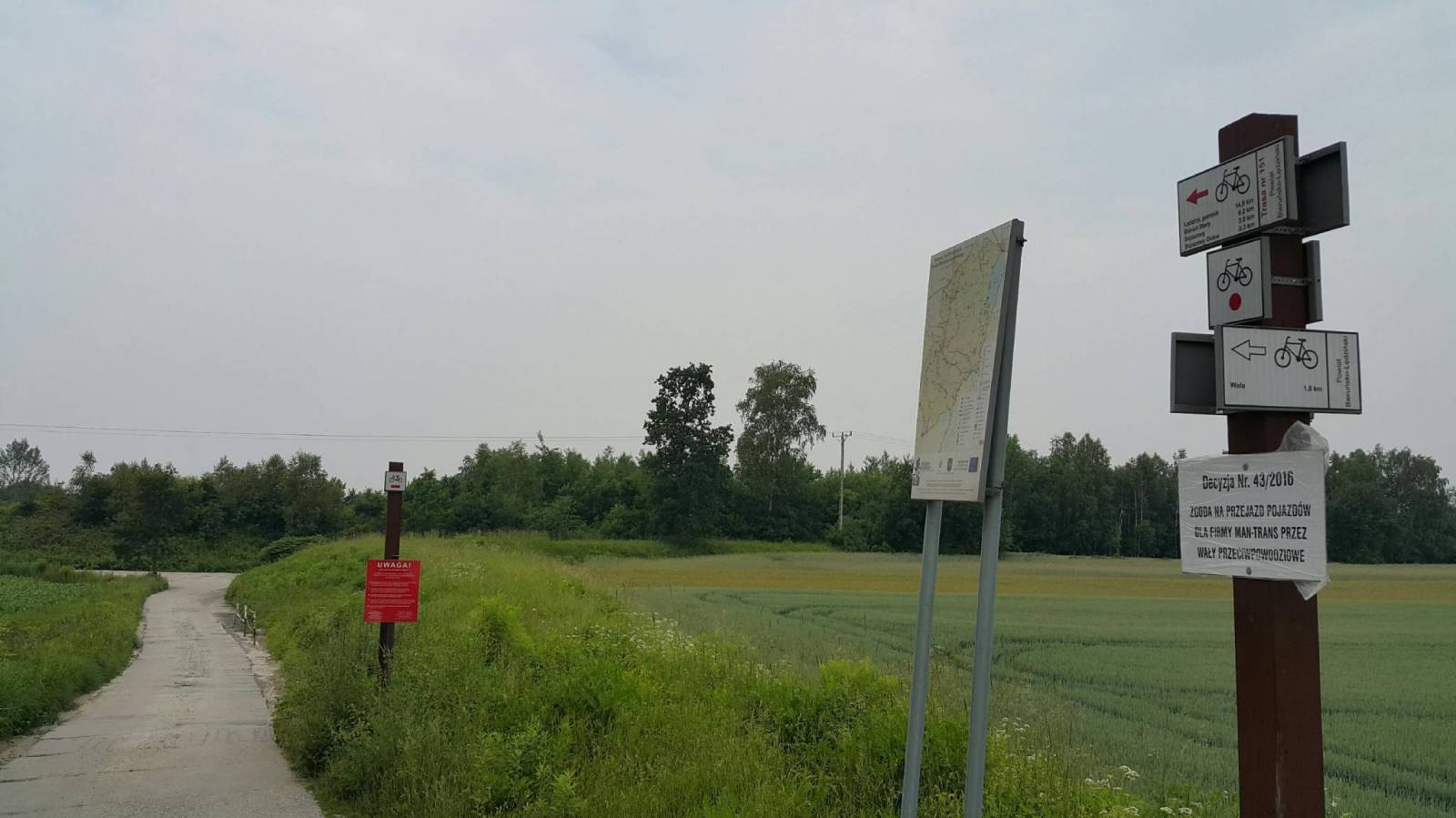 Zdjęcie 6