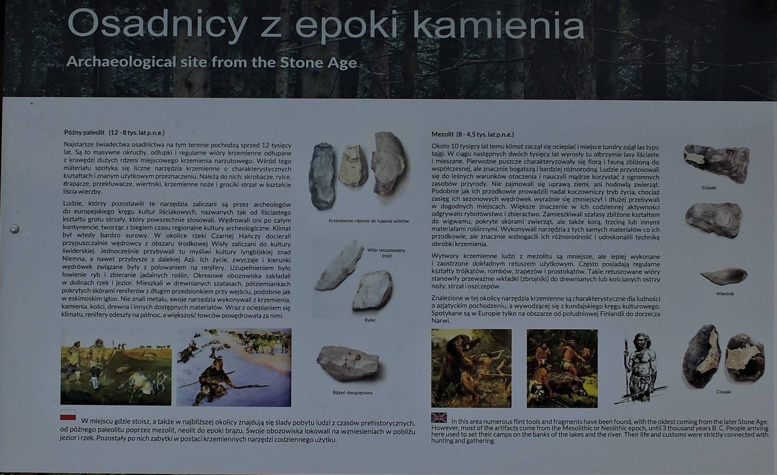 Zdjęcie 6