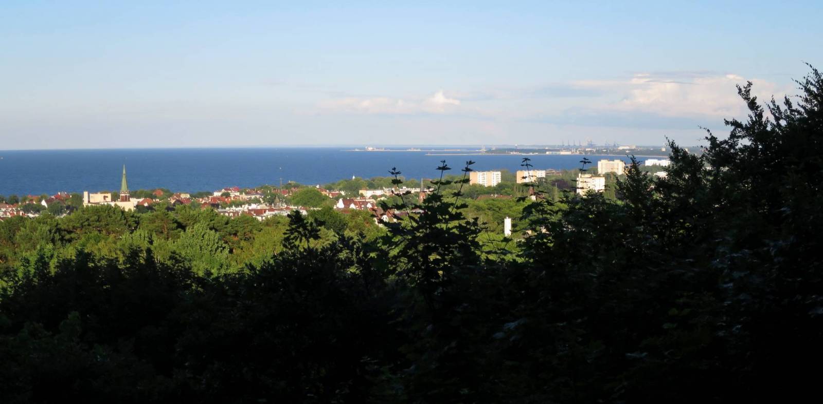 Zdjęcie 5