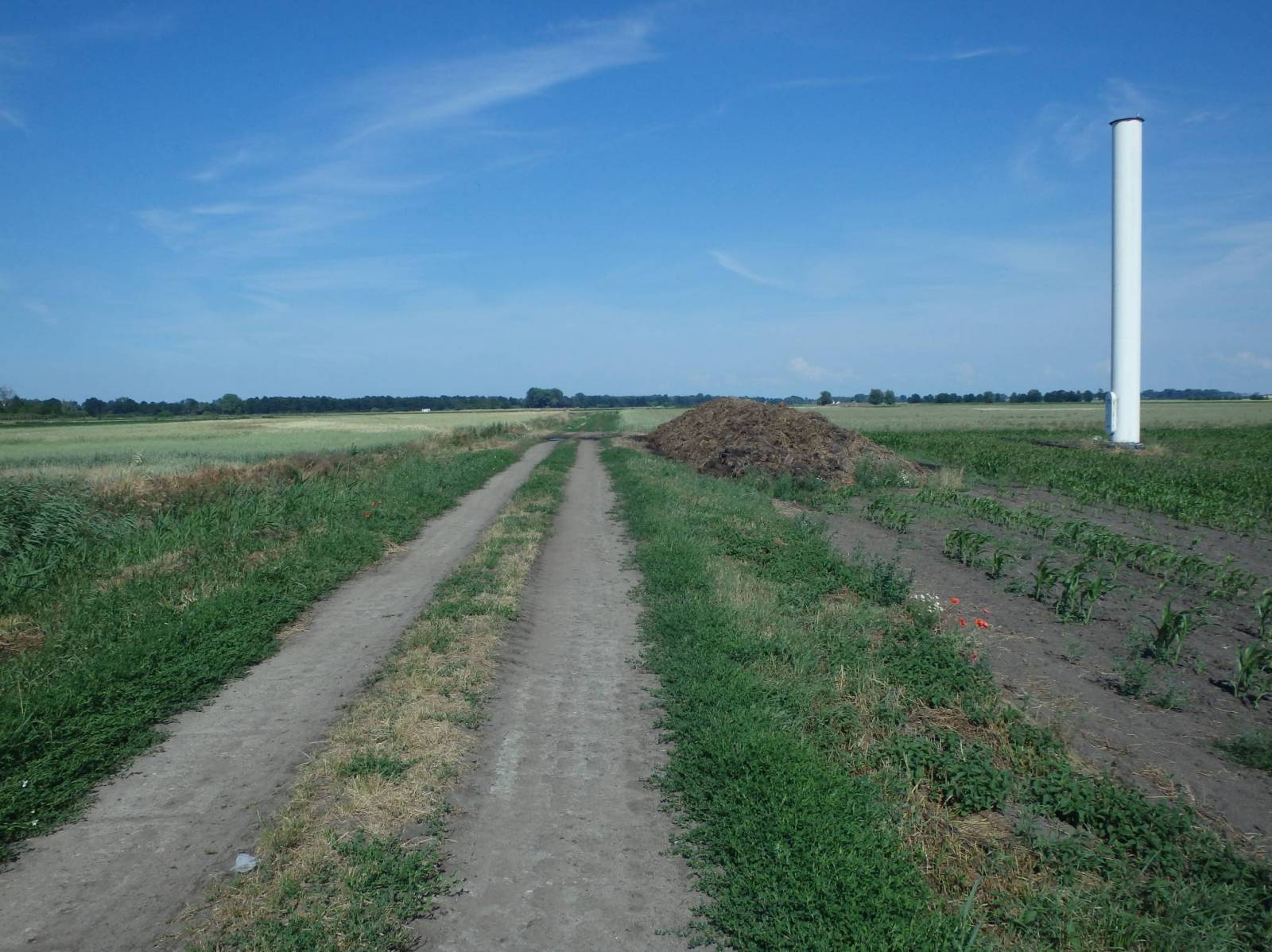 Zdjęcie 6