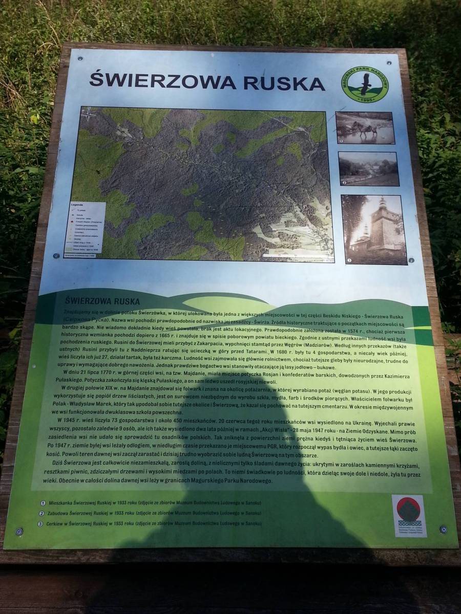 Zdjęcie 3