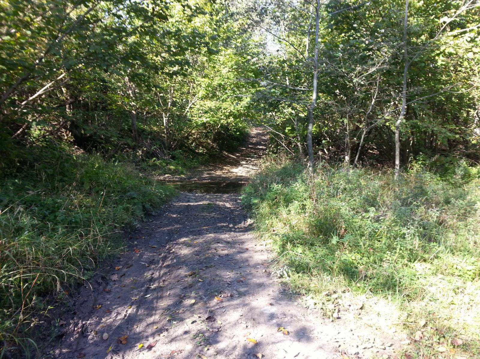 Photo 4