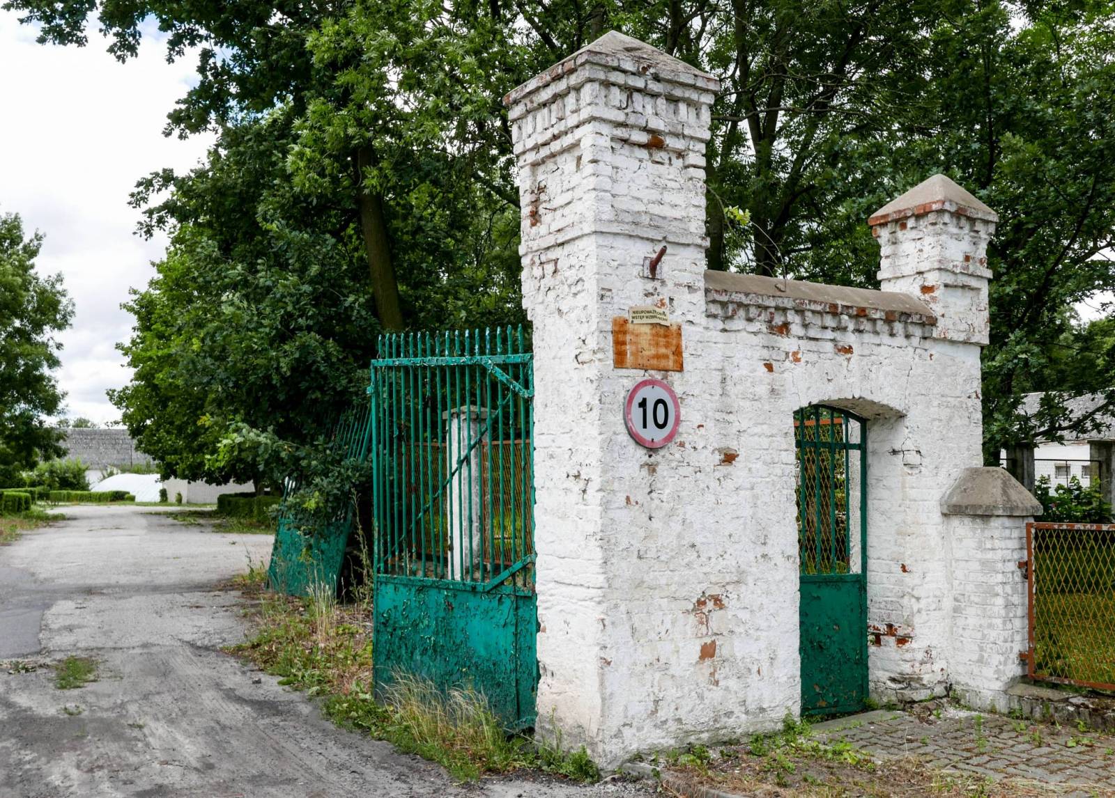 Zdjęcie 5
