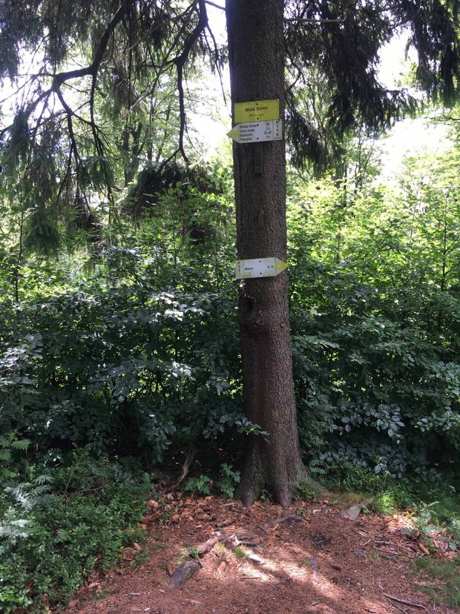 Zdjęcie 2