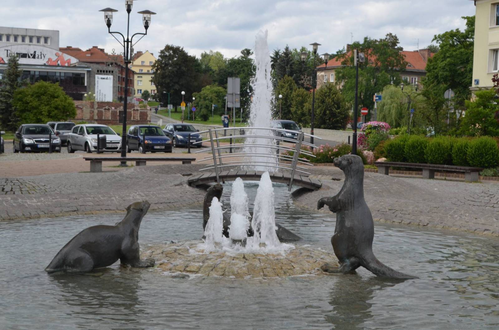 Zdjęcie 6