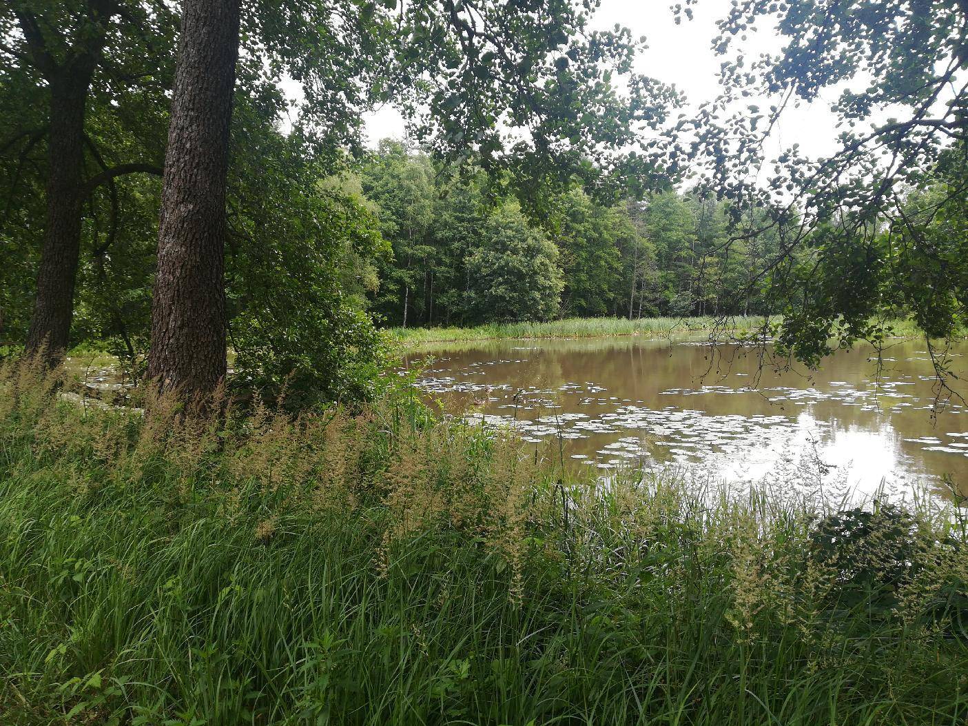 Zdjęcie 6