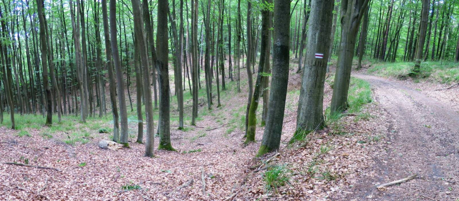 Zdjęcie 2