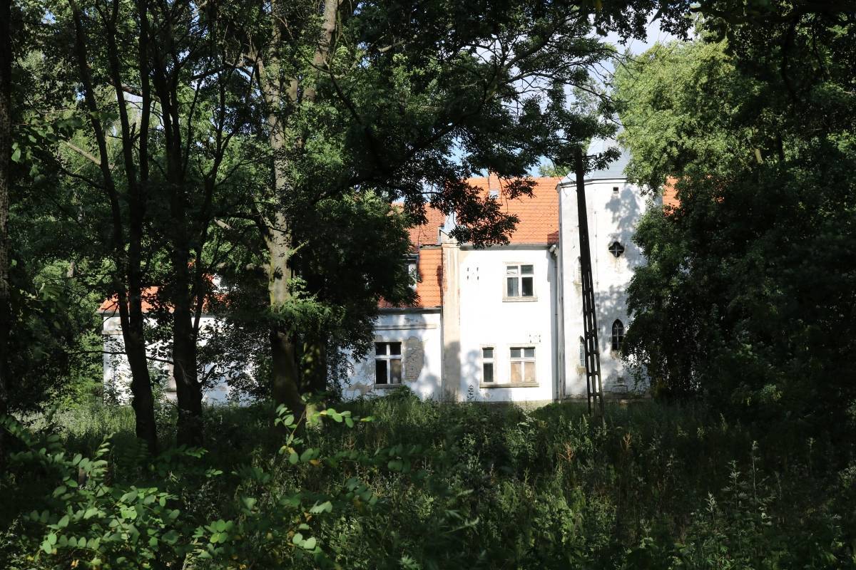 Zdjęcie 3