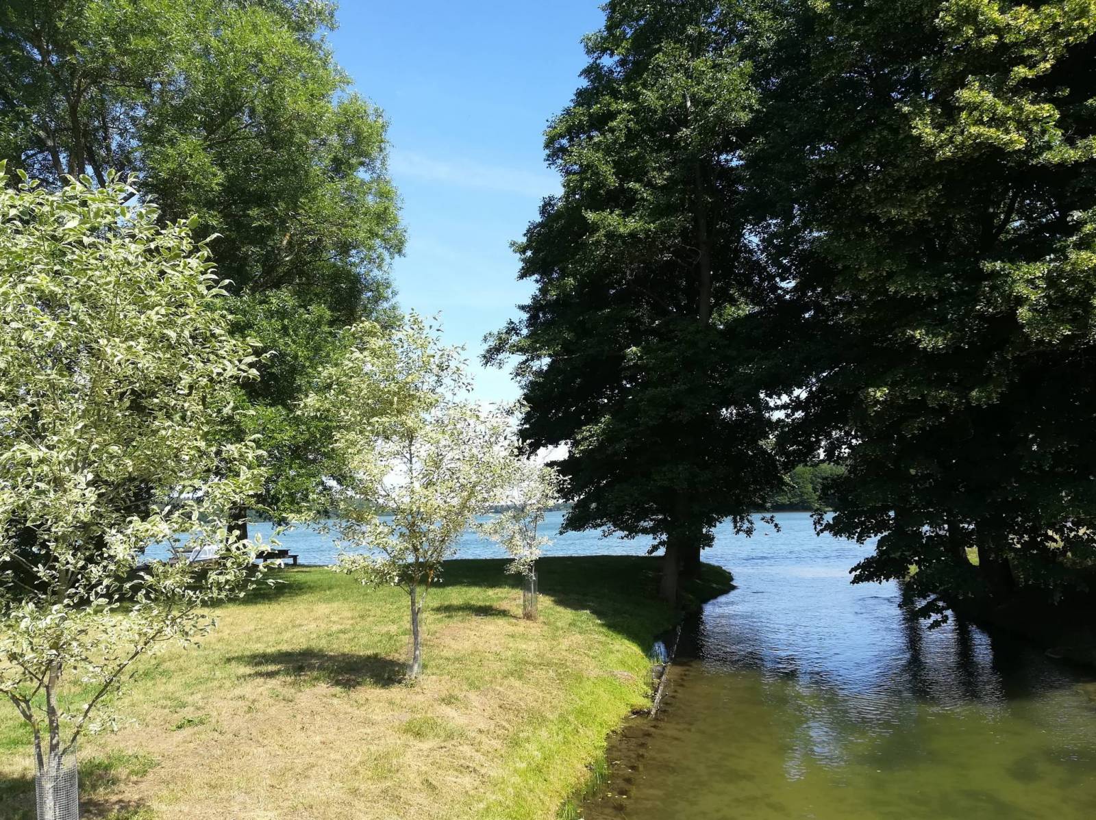 Zdjęcie 6