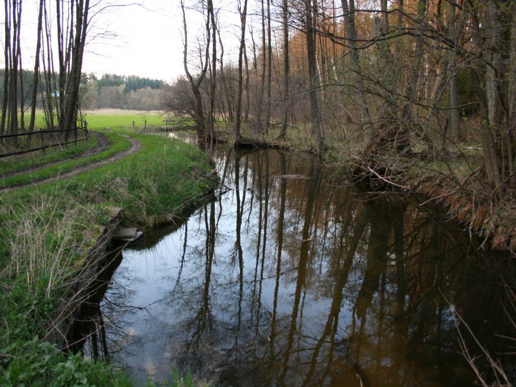 Zdjęcie 3