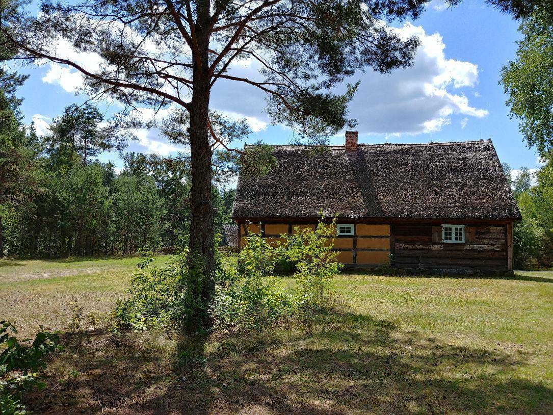 Zdjęcie 6
