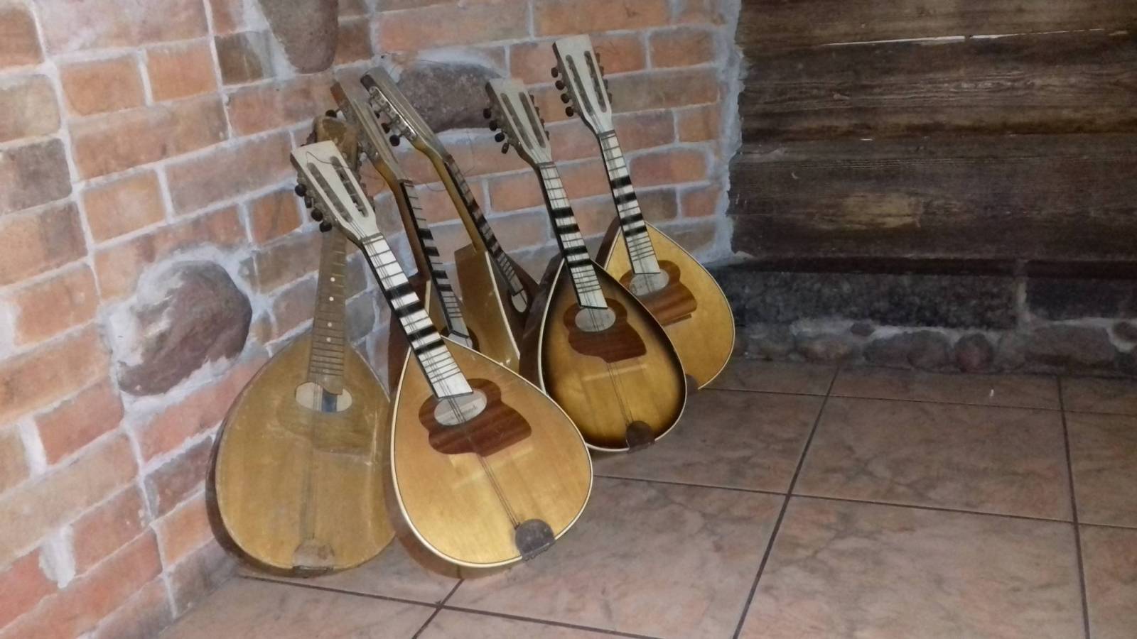 Zdjęcie 5