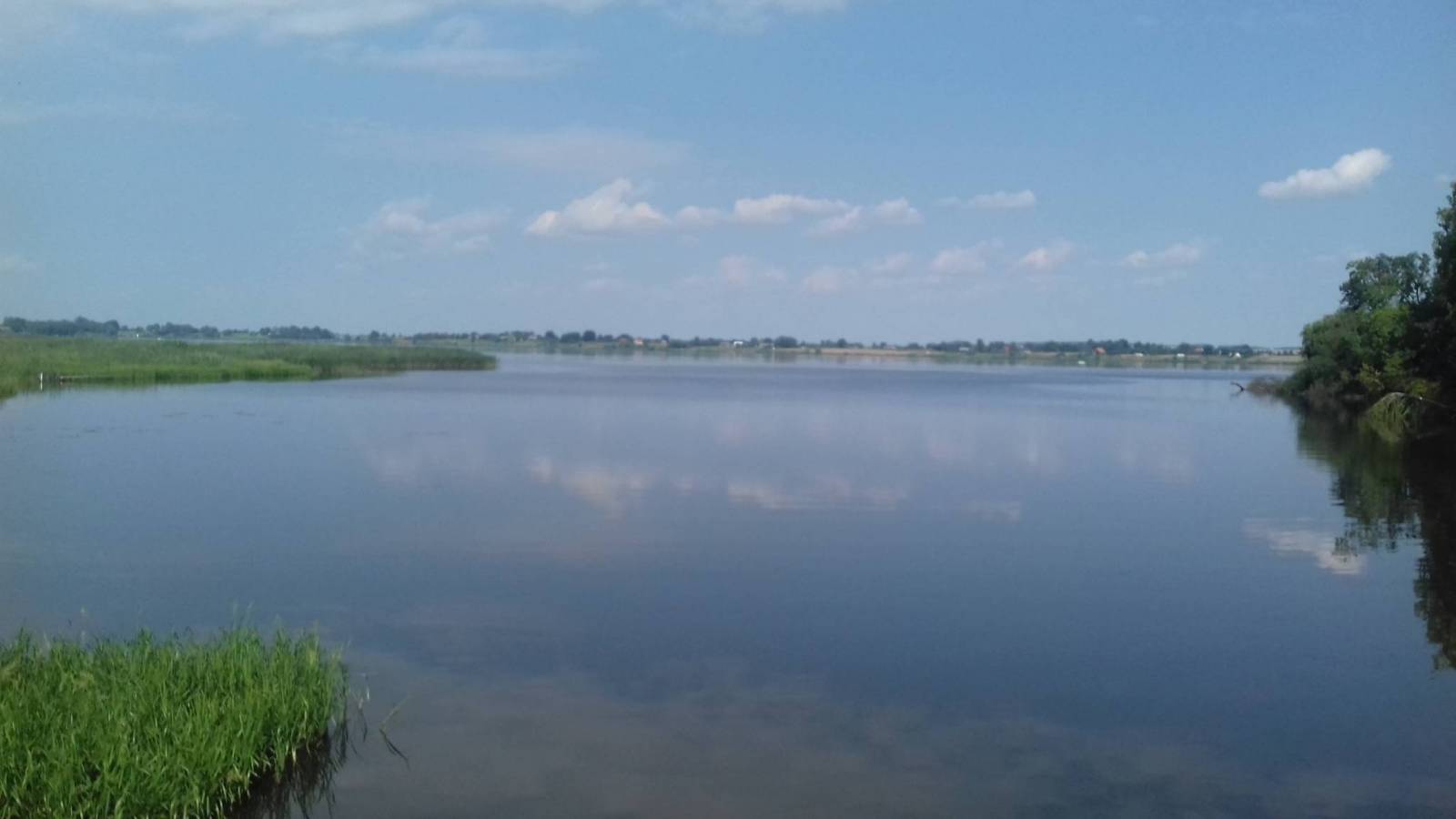 Zdjęcie 5