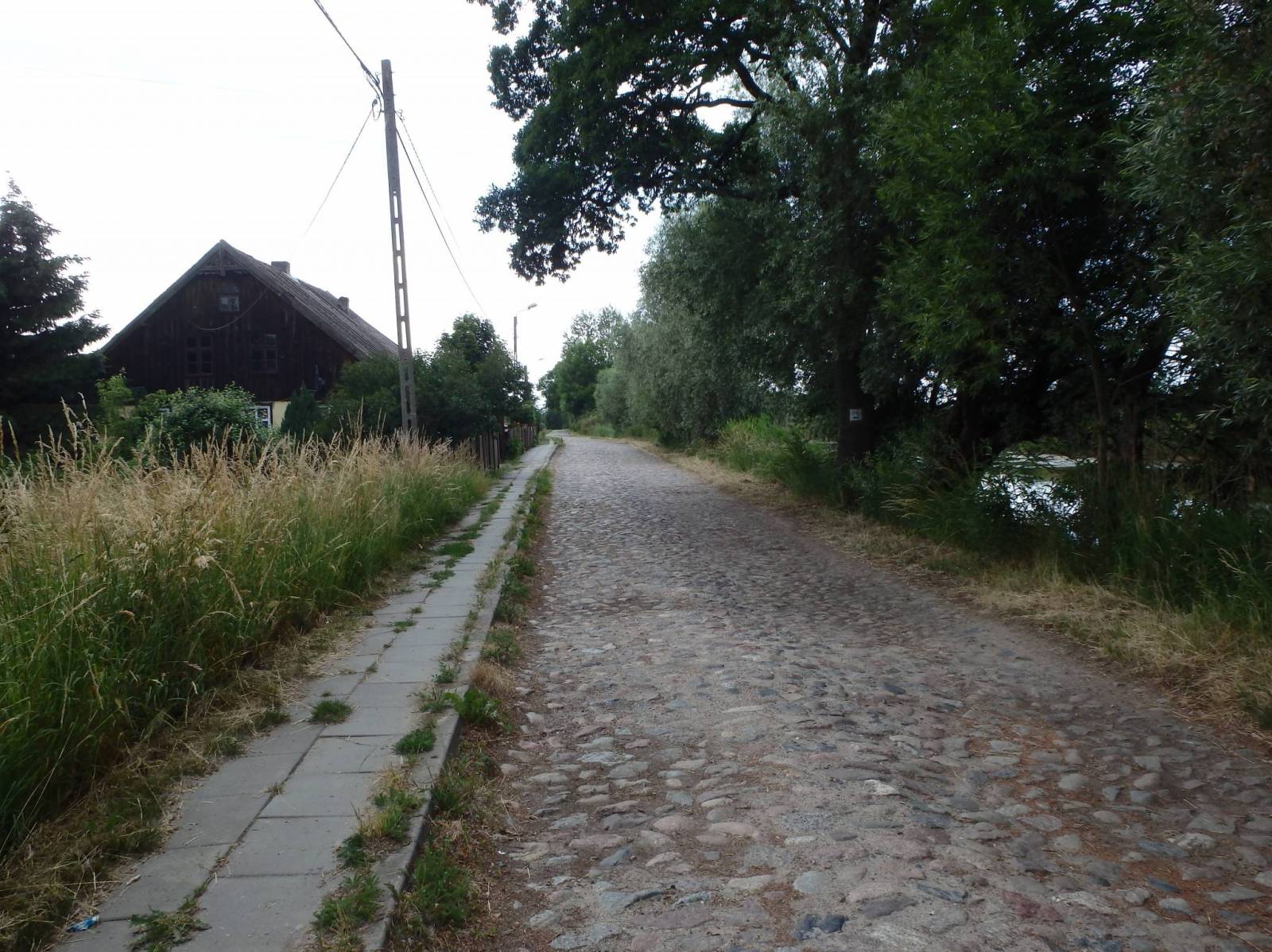 Zdjęcie 6