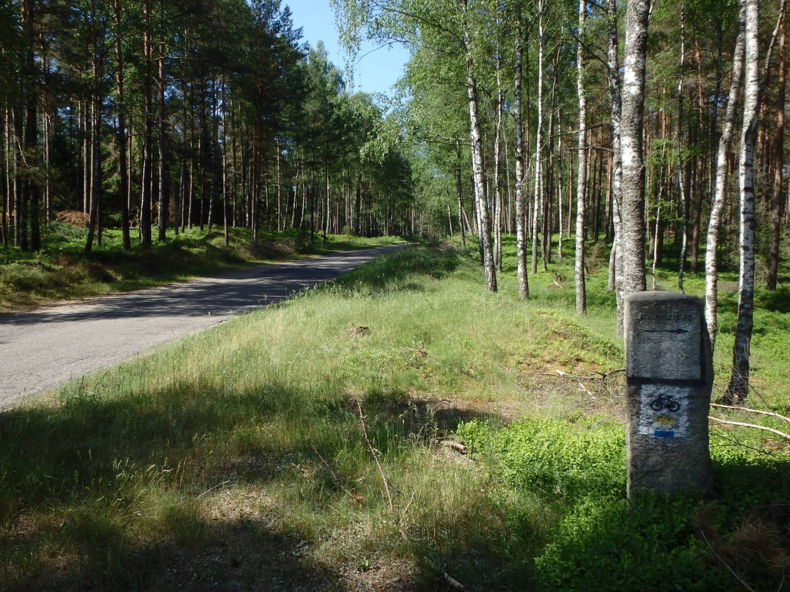 Zdjęcie 5