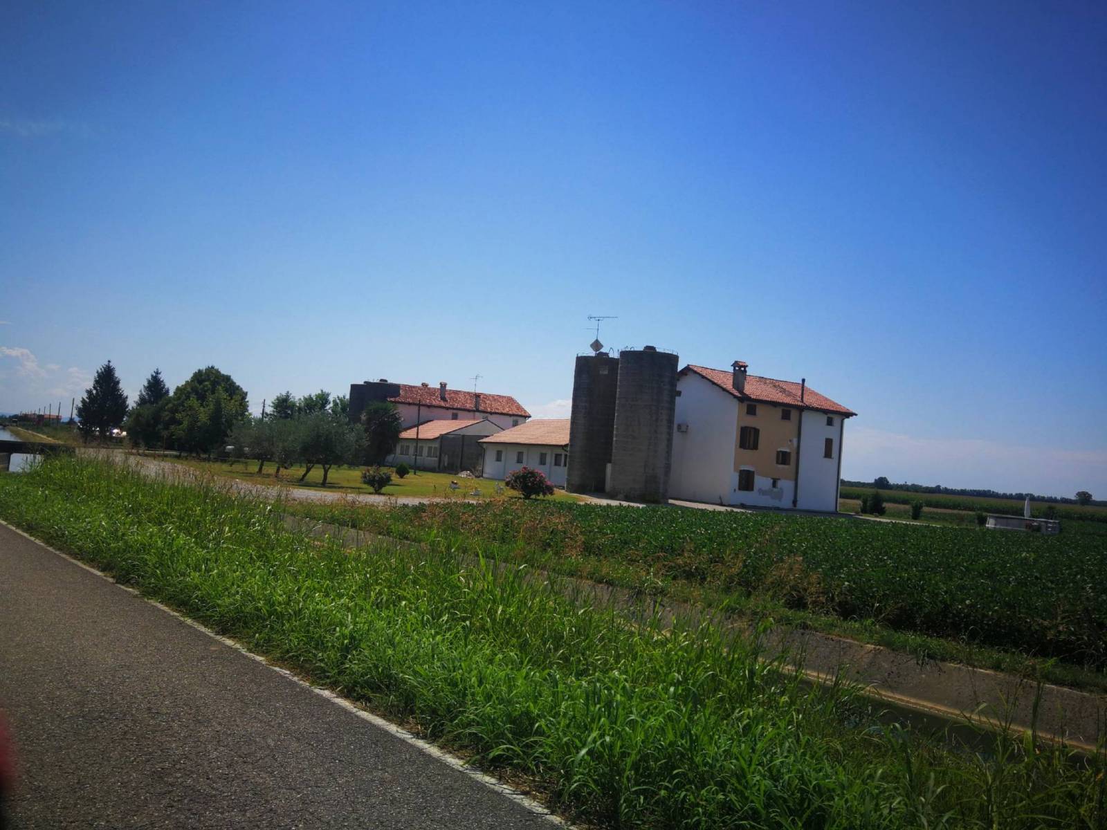 Zdjęcie 2