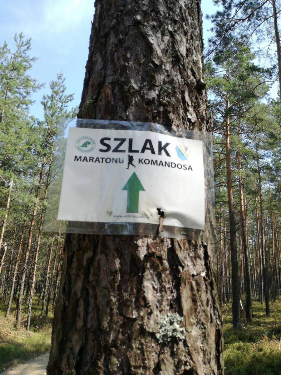 Zdjęcie 2