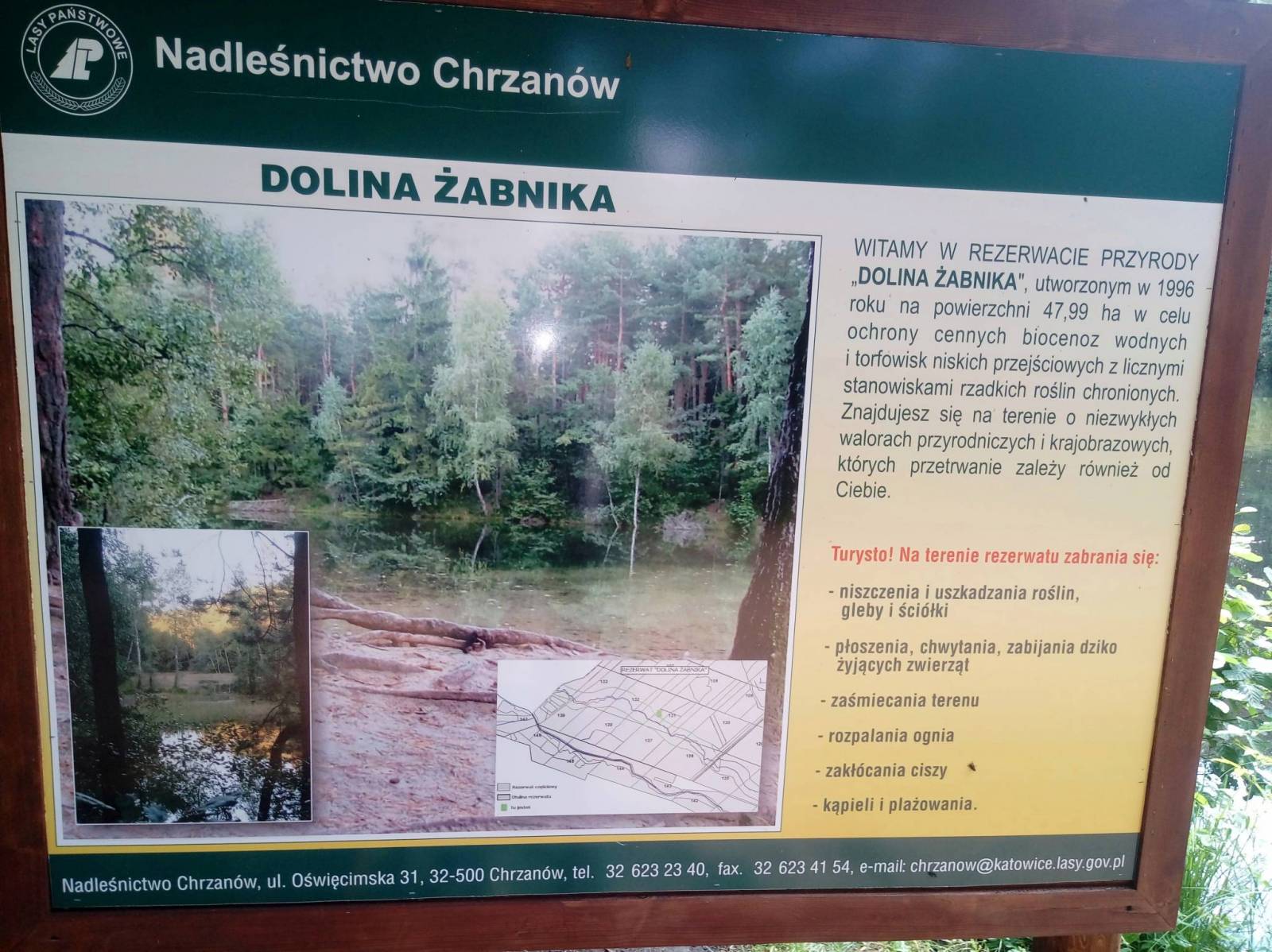 Zdjęcie 5
