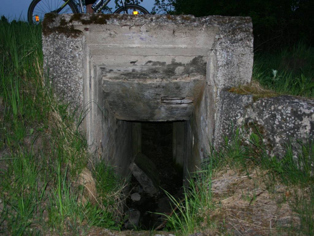 Zdjęcie 3