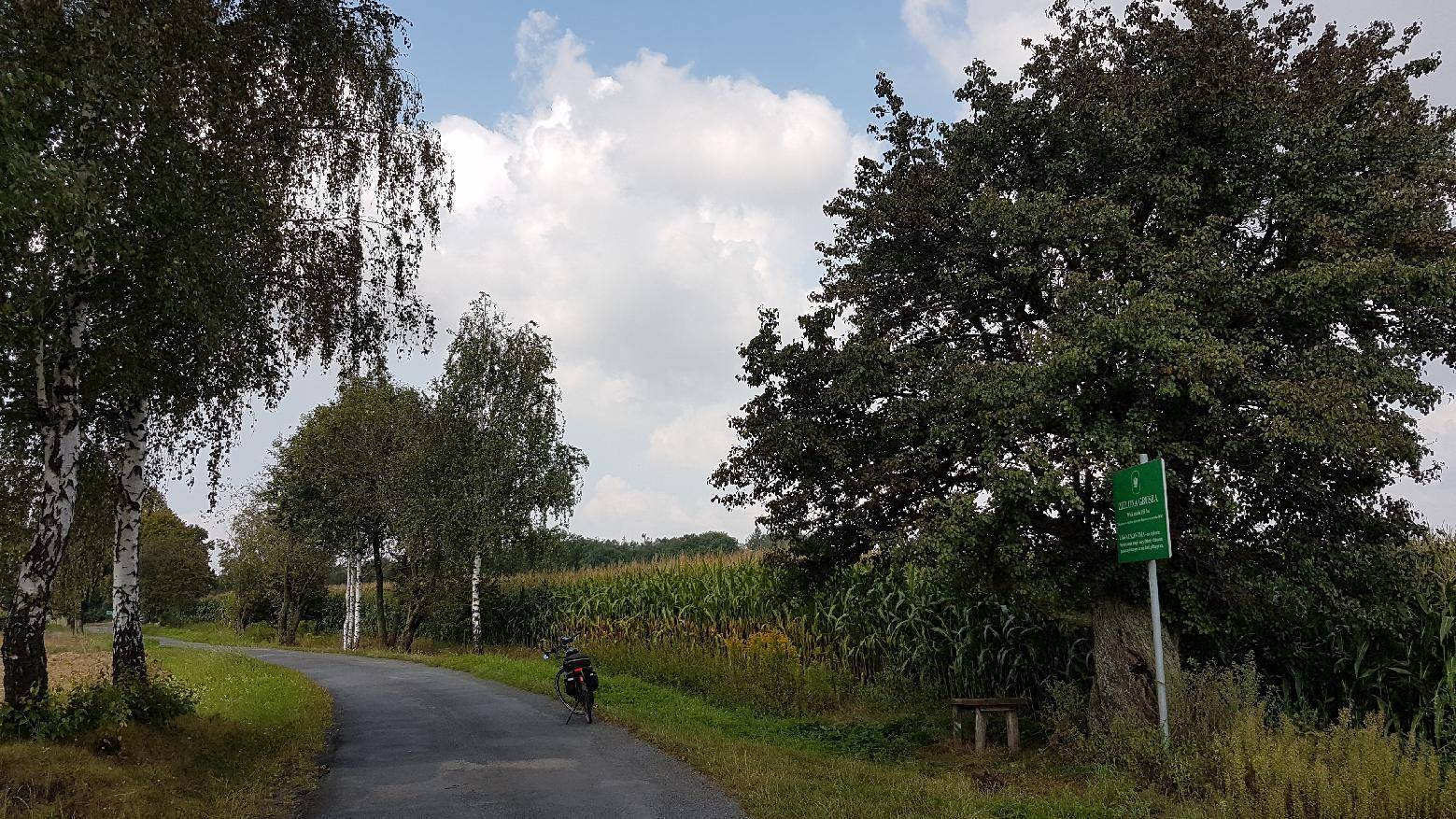Zdjęcie 6