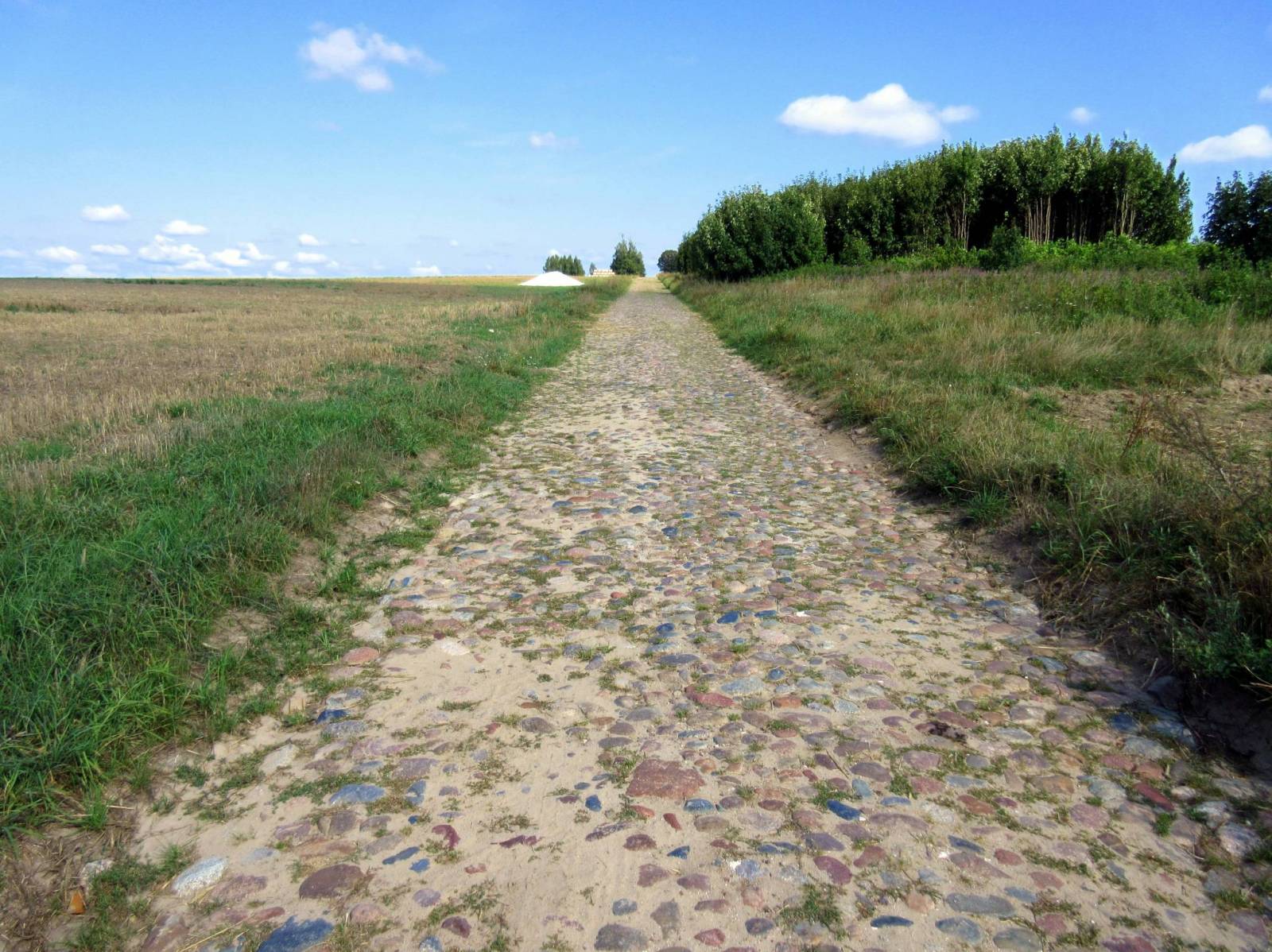 Zdjęcie 5