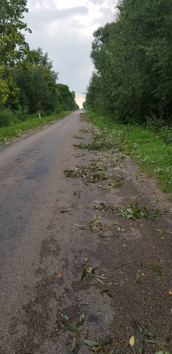Zdjęcie 5