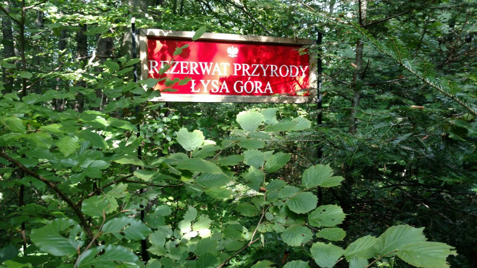 Zdjęcie 6