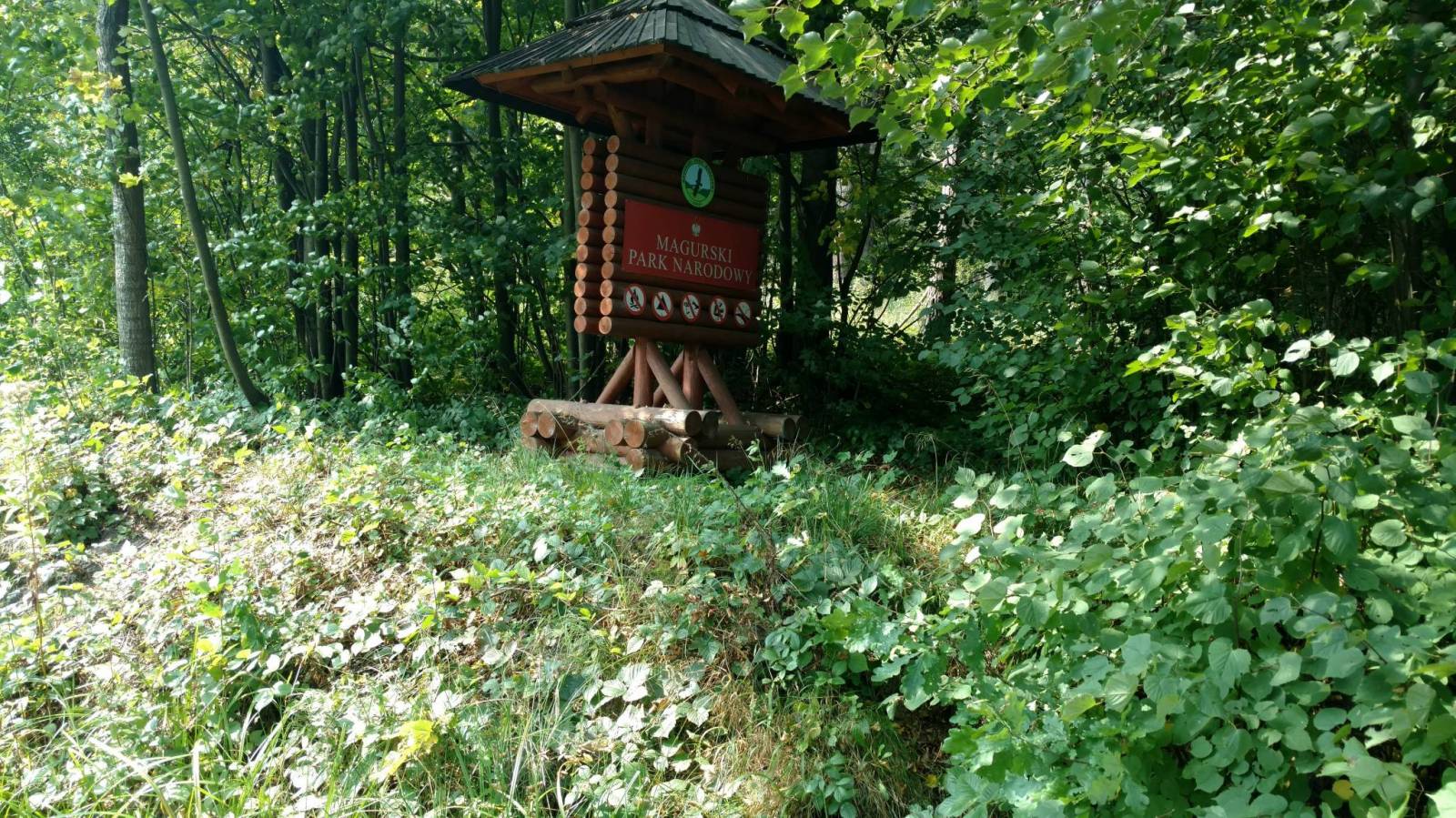 Zdjęcie 2