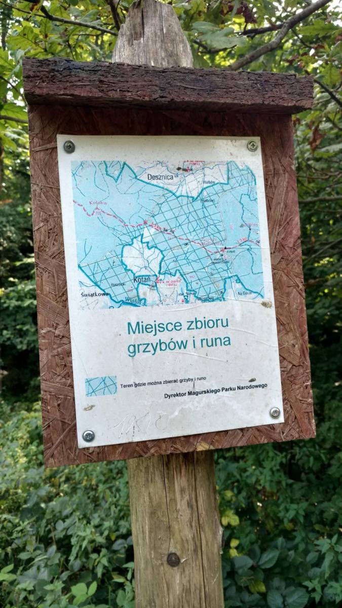 Zdjęcie 3