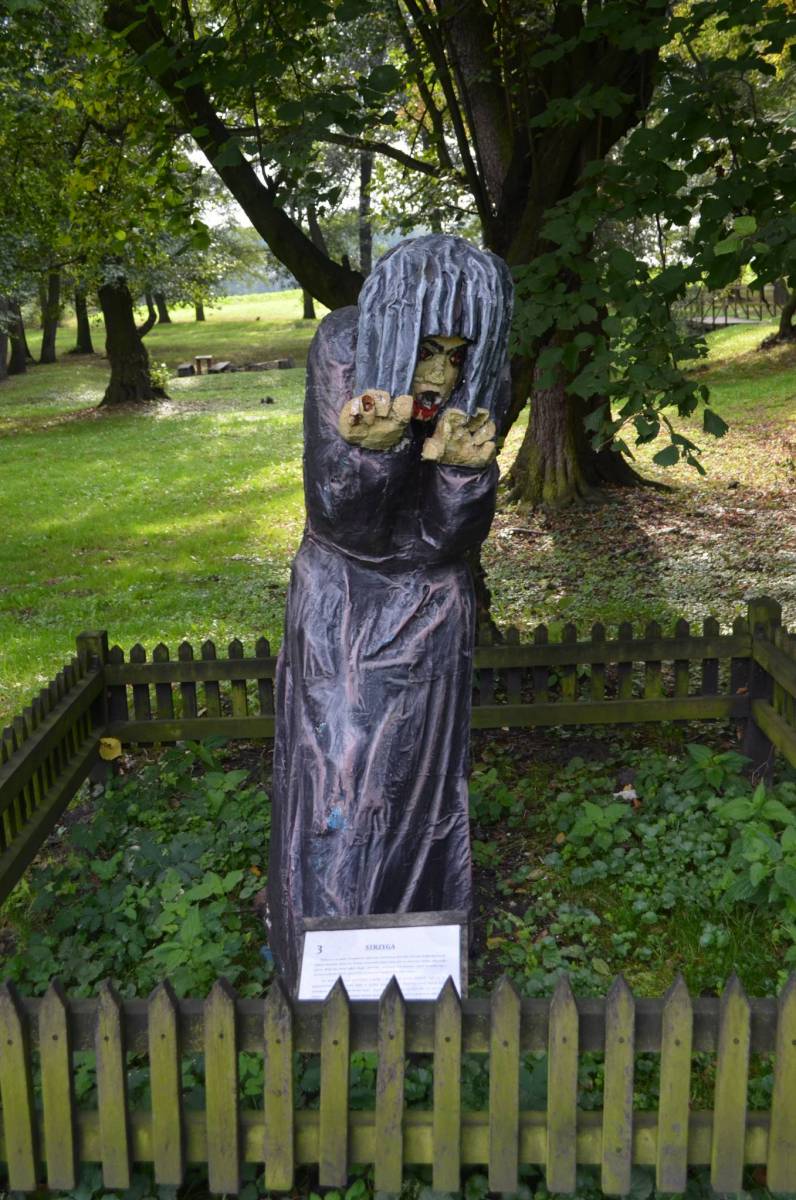 Zdjęcie 6
