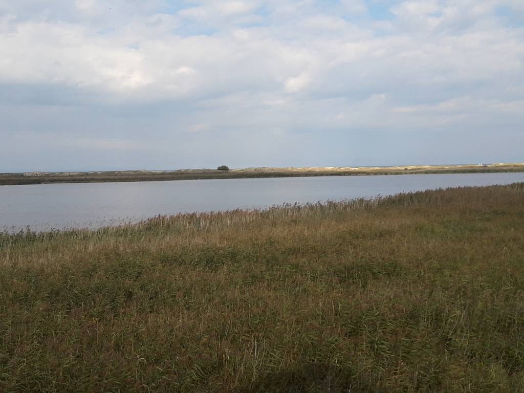 Zdjęcie 4