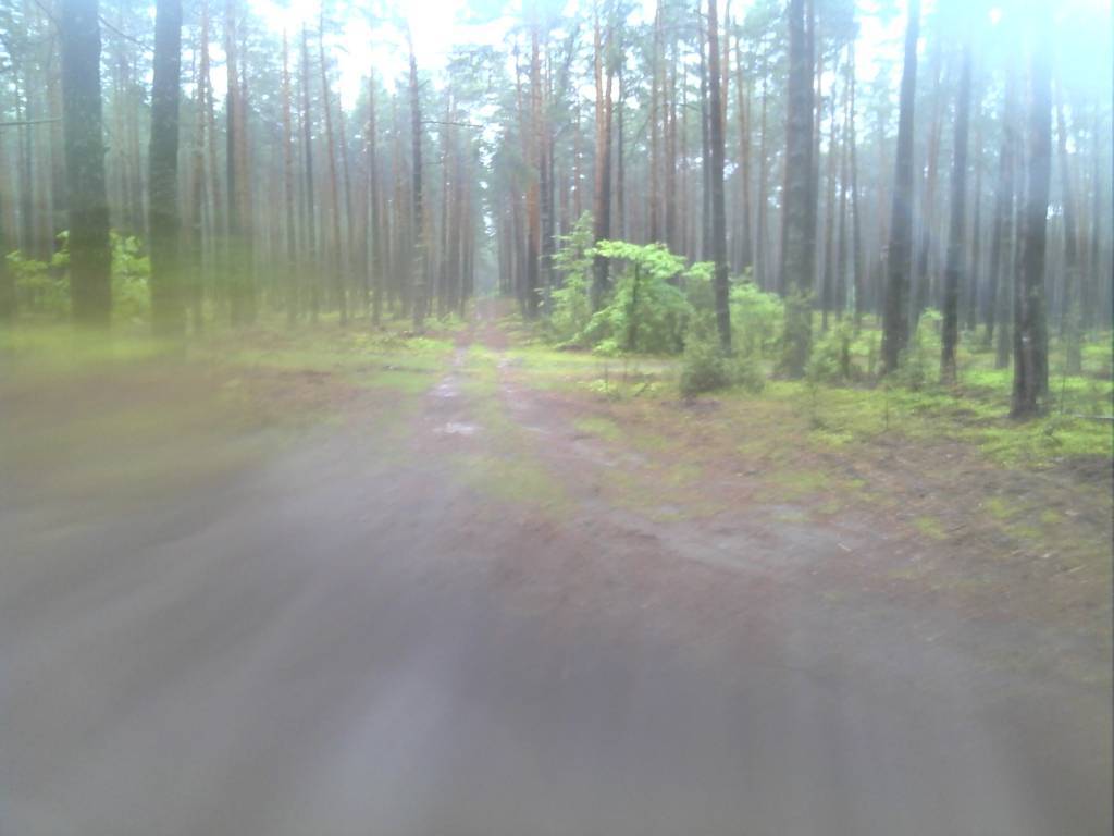 Zdjęcie 4