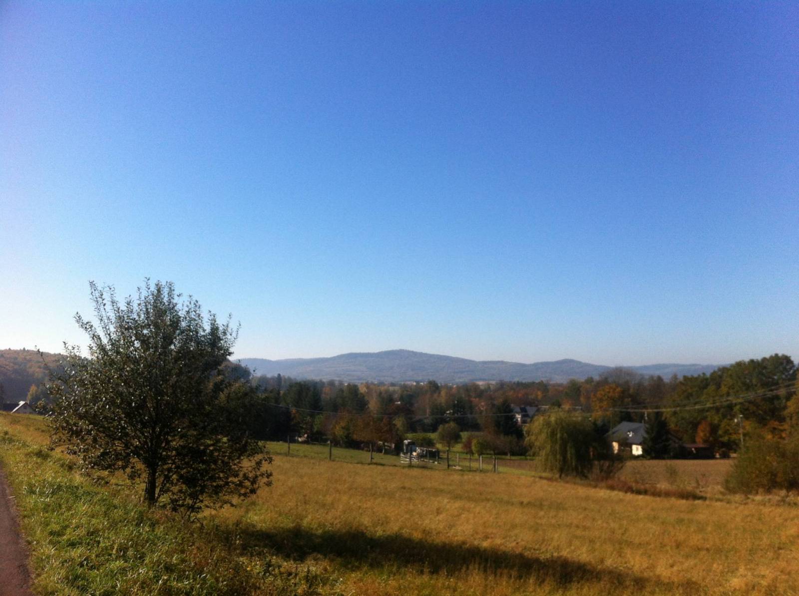 Zdjęcie 3