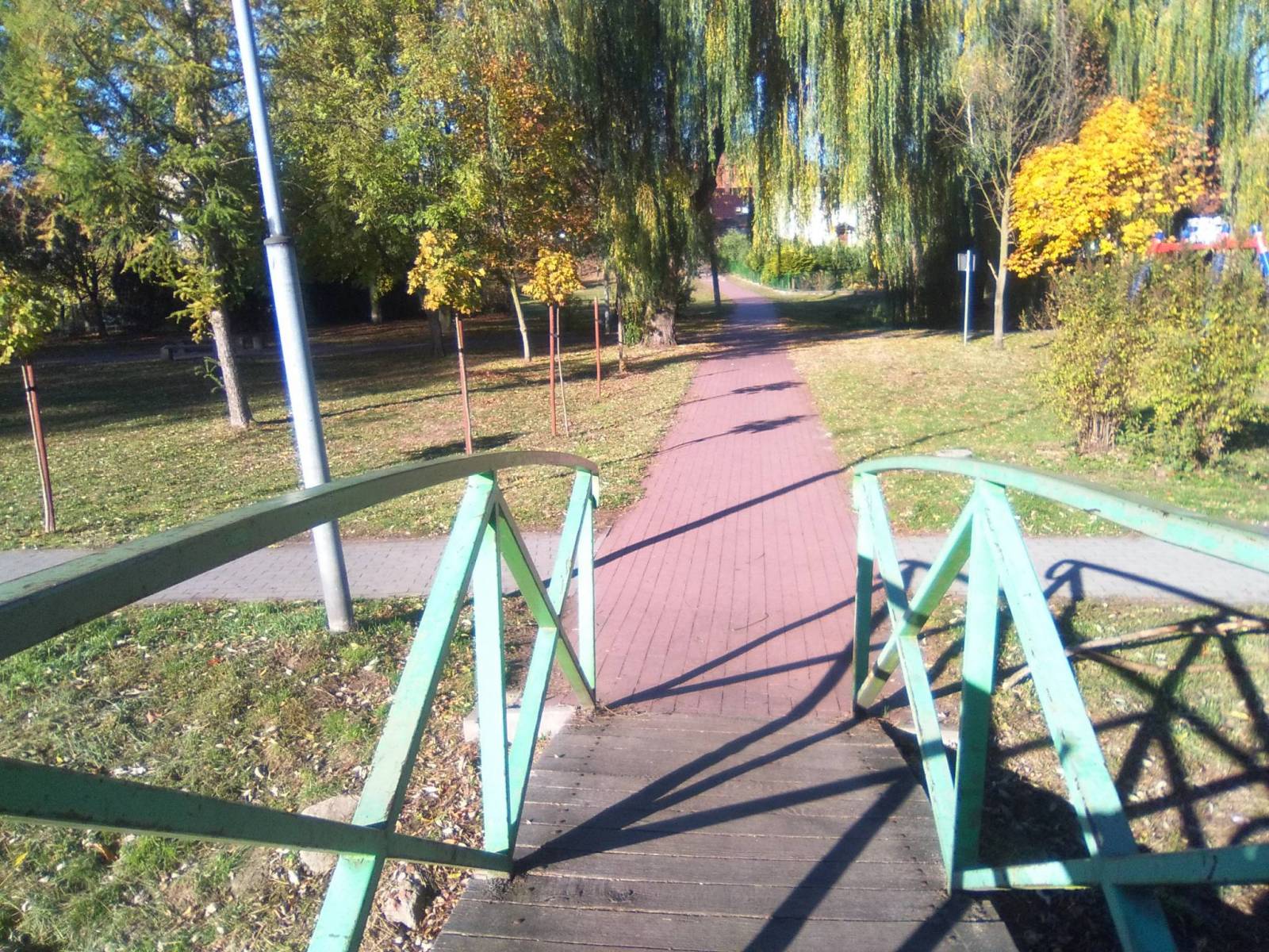 Zdjęcie 2