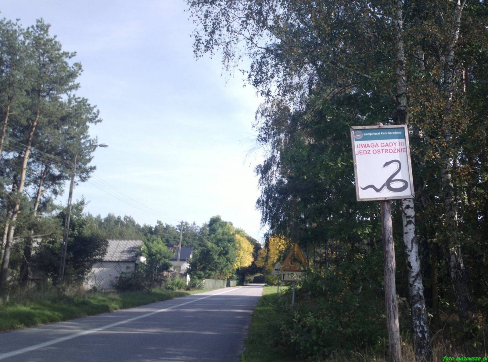Zdjęcie 4