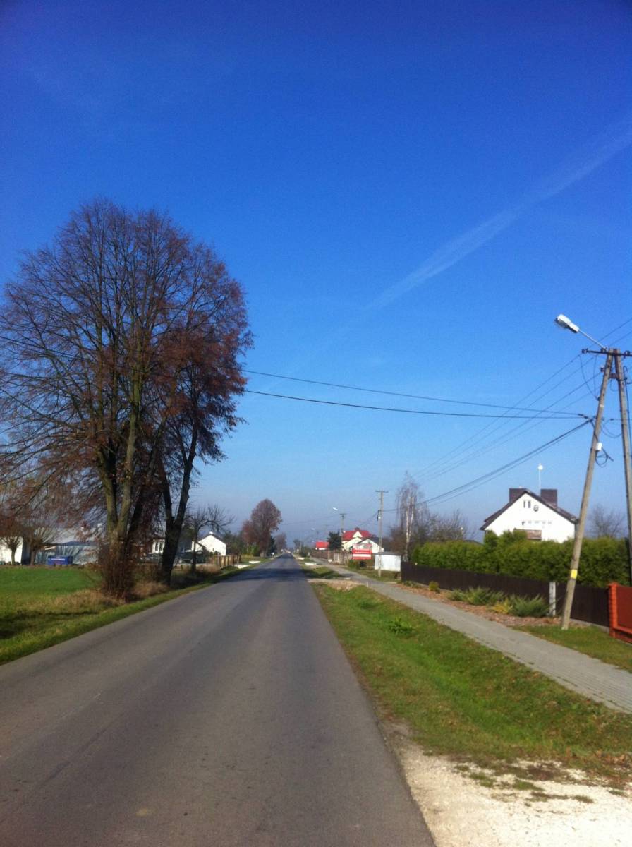 Zdjęcie 4