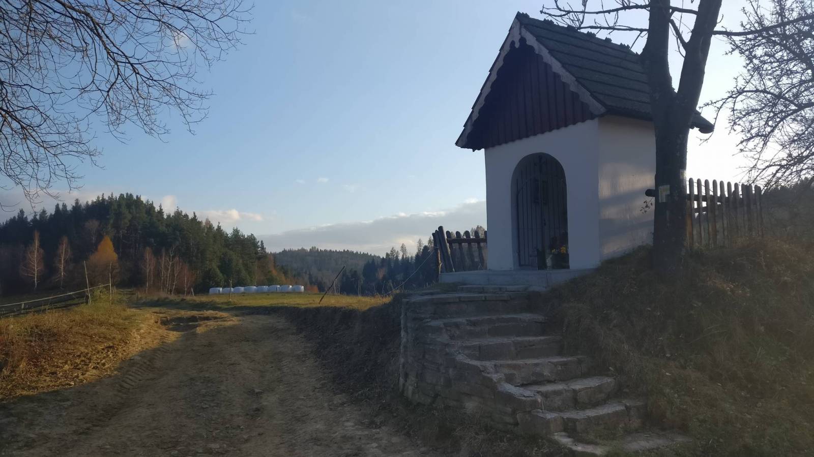 Zdjęcie 4