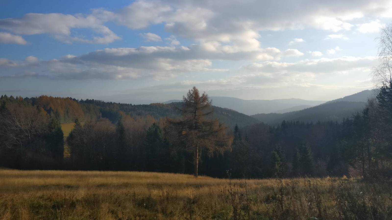 Zdjęcie 5
