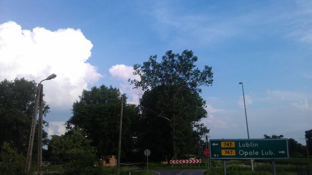Zdjęcie 4
